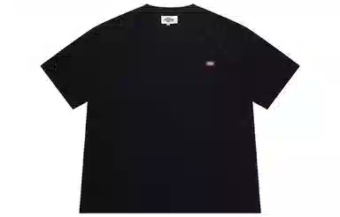 Dickies SS22 T