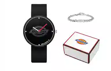 Dickies 200F60LYXCL-103P1-17