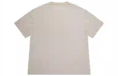 Dickies SS22 T