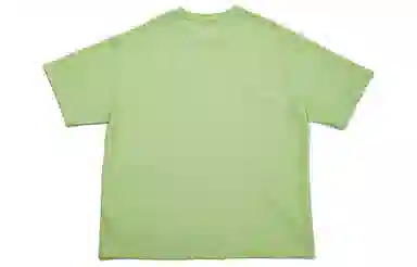 Dickies SS22 logoT