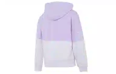 PUMA Power Colorblock Hoodie Purple