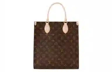 LOUIS VUITTON Sac Plat PM
