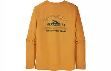patagonia T
