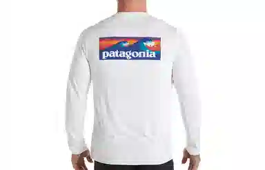 patagonia T