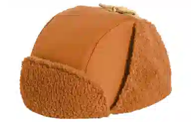 The North Face Lei Feng Hat Brown