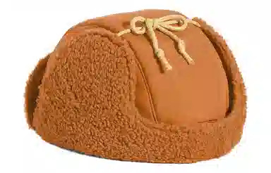 The North Face Lei Feng Hat Brown