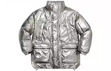 Supreme FW22 GORE-TEX Parka