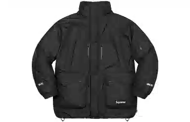 Supreme FW22 GORE-TEX Parka