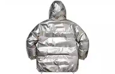 Supreme FW22 GORE-TEX Parka