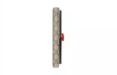 Gucci Strawberry Chain Wallet