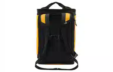 The North Face PVC Backpack Yellow
