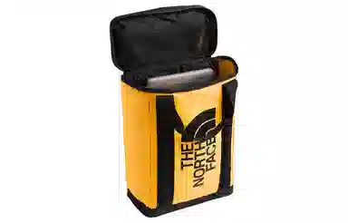 The North Face PVC Backpack Yellow