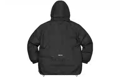 Supreme FW22 GORE-TEX Parka