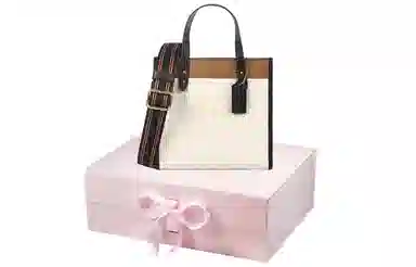 COACH Field 22 Tote