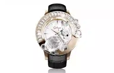 Galtiscopio DARRGS001WLS