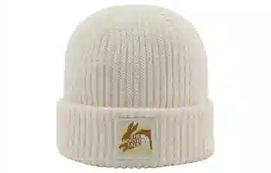 THE NORTH FACE I4RI4U