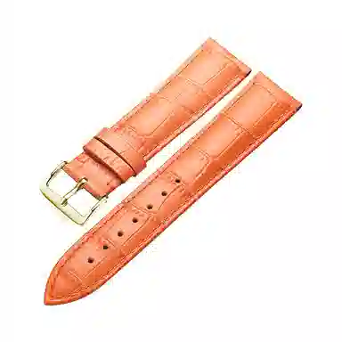 ZS Dw 12-22mm 200201