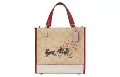 COACH Dempsey 22 Tote