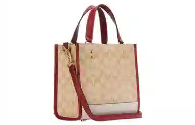 COACH Dempsey 22 Tote