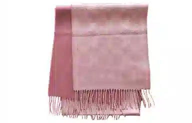 COACH Scarf Pink