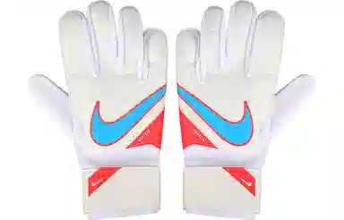 Nike Goalkeeper Match