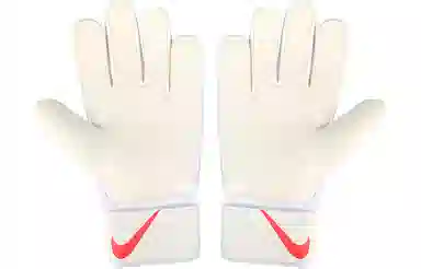 Nike Goalkeeper Match