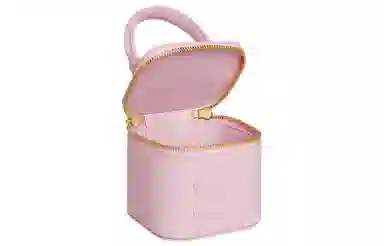 Celine Mini Cosmetic Box Bag