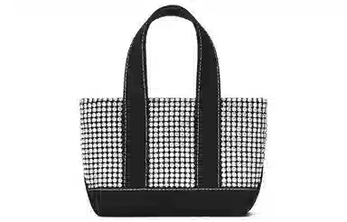 Alexander Wang Cruiser