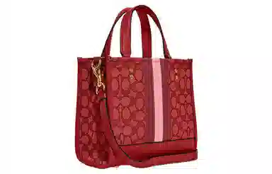 COACH Dempsey 22 Tote