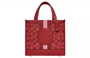 COACH Dempsey 22 Tote