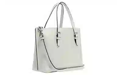 COACH Mollie 25 Logo Tote