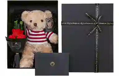 柏文熊 动物 脚印毛衣 挂链款美国毛衣熊 毛绒公仔 玩偶 毛绒公仔