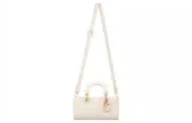 DIOR Lady D-JOY