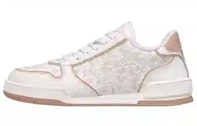 DIOR One Oblique