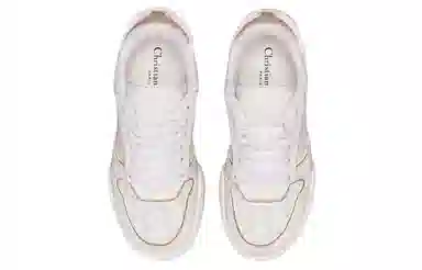 DIOR One Oblique