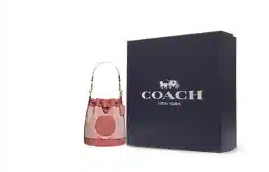 COACH Dempsey 14 C