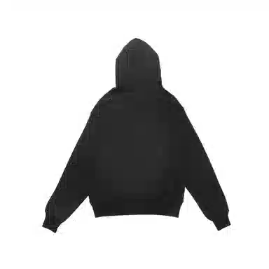 Champion MENS FLC OVER C