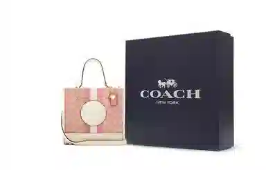 COACH Dempsey 22 Tote