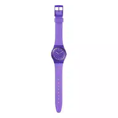 SWATCHGENT 34mm SO31V100