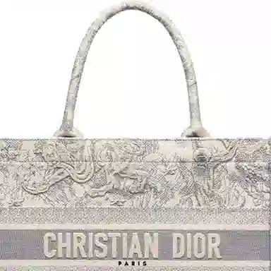 DIOR BookTote Tote