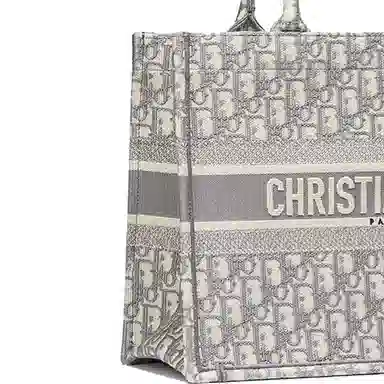 Dior Book Tote Grey