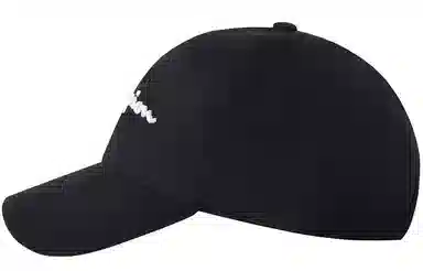 Champion Cap