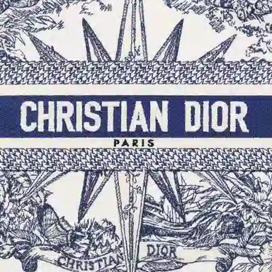 Dior Book Tote Blue/White