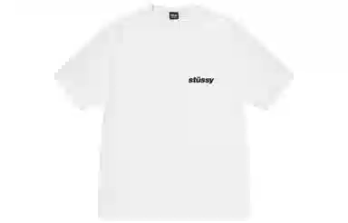 Stussy Popsicle Tee