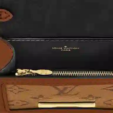 Louis Vuitton Dauphine Woc