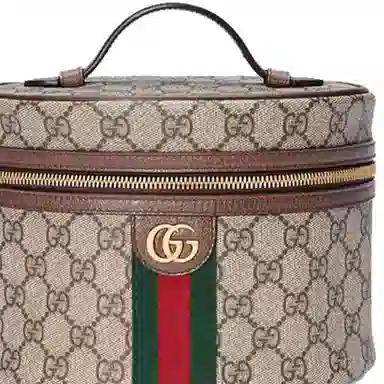GUCCI Ophidia Logo