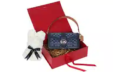 COACH Georgie 27 Chambray