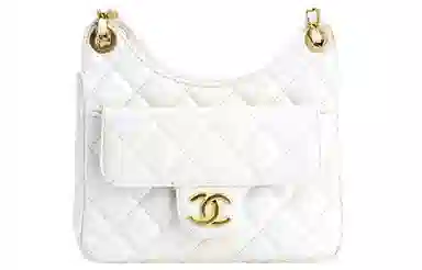 CHANEL 23C Hobo