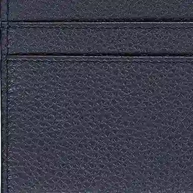 DIOR x Jordan Logo
