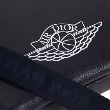 Dior x Jordan